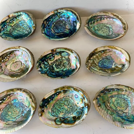 Picture of Abalone Shell Smudge Bowls (Medium)