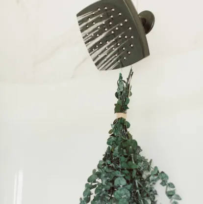 Picture of Eucalyptus Shower Bundle