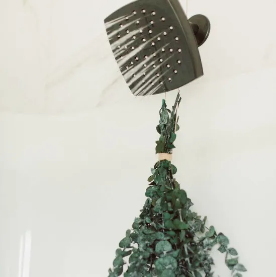 Picture of Eucalyptus Shower Bundle