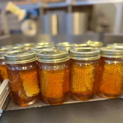 Picture of Wildflower with Comb 16 oz Jar Unlabeled No Label