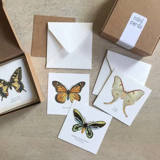 Picture of Mini Cards Set / Butterflies & Moths