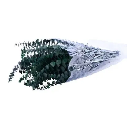 Picture of 1lb Preserved Spiral Eucalyptus Bundle-Dark GREEN-TF003630