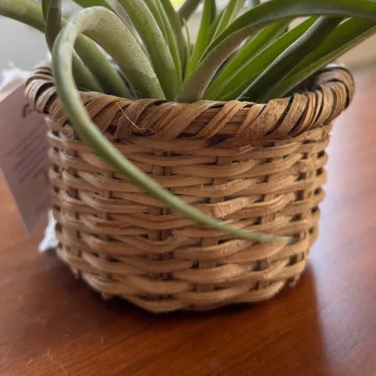 Picture of Handmade Wicker Planter - Indigenous Made