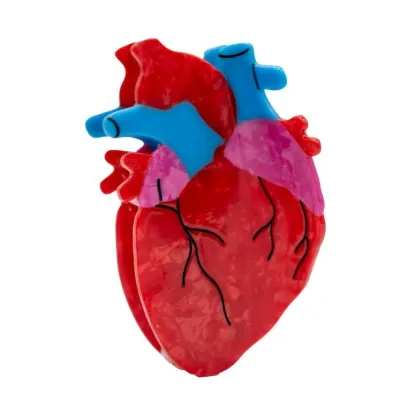 Picture of Anatomical Heart Hair Claw
