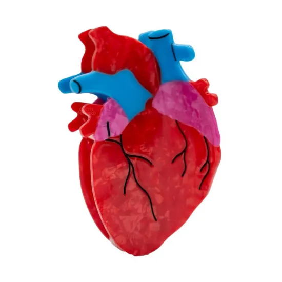 Picture of Anatomical Heart Hair Claw