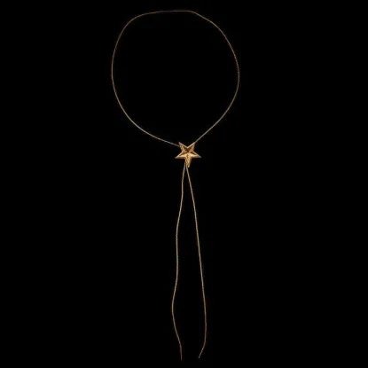 Picture of Star Bolo Tie Necklace