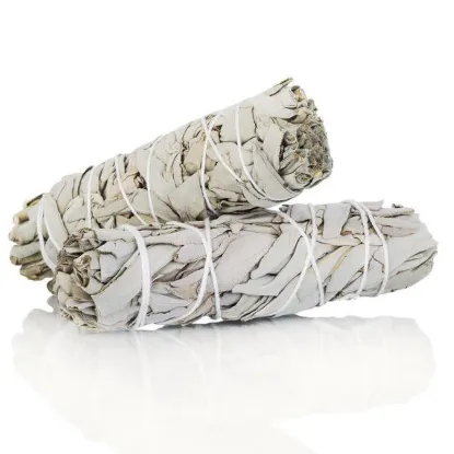 Picture of Sustainably Sourced White + Blue Sage Bundle