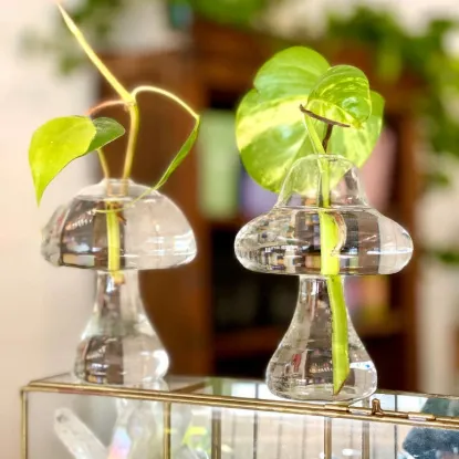 Picture of Glass Mushroom Vases Plant Propagation Vase