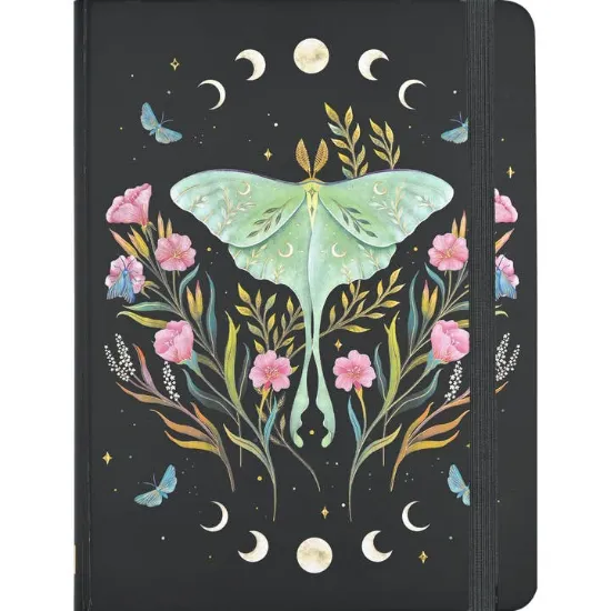 Picture of Luna Moth Journal