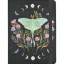 Picture of Luna Moth Journal