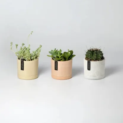 Picture of 3.5" Earth Tone Mini Planters | 10 Colorways
