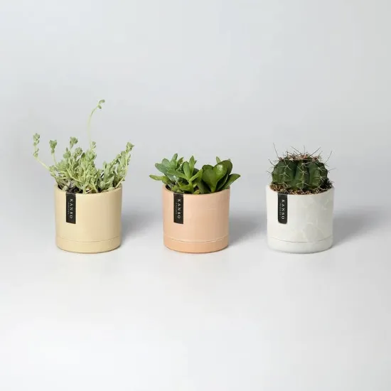 Picture of 3.5" Earth Tone Mini Planters | 10 Colorways