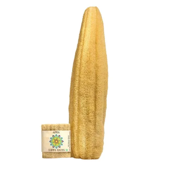 Picture of Egyptian Loofah Whole Plant Sponge (50-60cm)