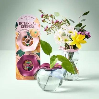 Picture of Botanical Keepers - Set of 2