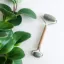 Picture of Bamboo Facial Rollers