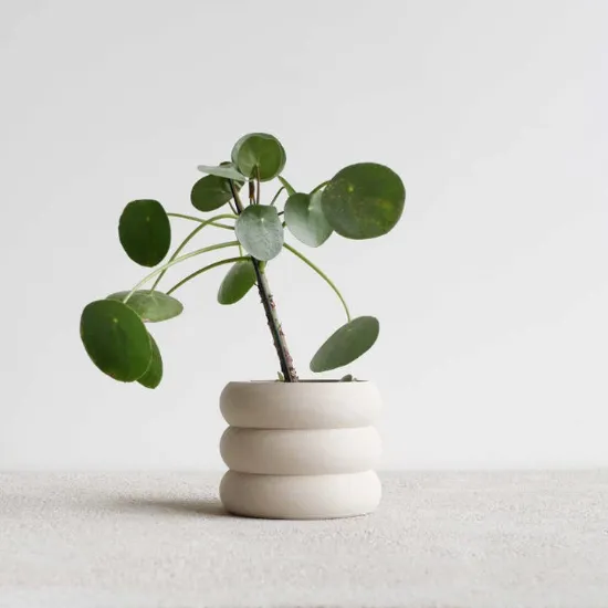 Picture of Eden Indoor Planter