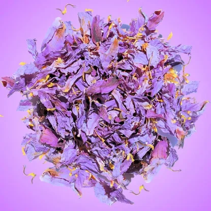 Picture of Egyptian Blue Lotus • Petals