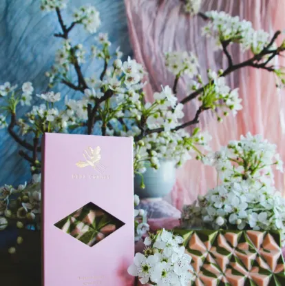 Picture of Limited Edition: Sakura Matcha Chocolate Bar
